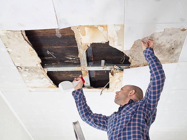 Best Emergency Mold Remediation  in Buenaventura Lakes, FL